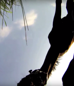 World Equestrian Brands Drone Cam: Crash Landing