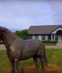 Standing Ovation by Ovation Riding: Maker’s Mark Secretariat Center