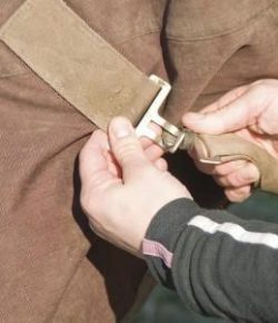 KY Performance Products: Equine Guelph’s ThermoRegulator Tool