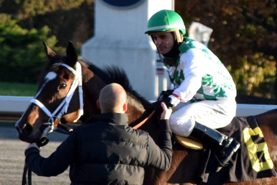 Cheering Them Home The Grooming Life of Gord Walker HORSE NATION