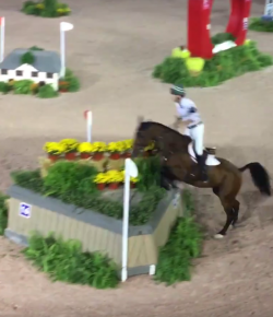 SpectraVET Performance: CPHS Arena Eventing