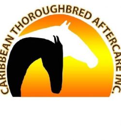 Standing Ovation by Ovation Riding: Help Puerto Rico’s Horses in Maria Aftermath