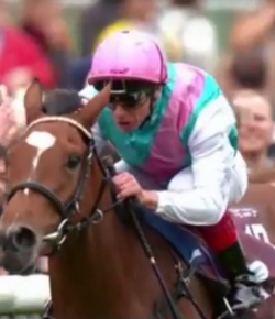 SpectraVET Performance of the Week: Enable