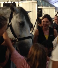 Standing Ovation by Ovation Riding