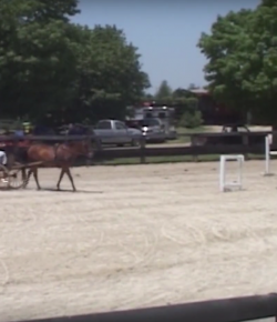 SmartPak Monday Morning Feed: Ask a Non-Rider, Driving Edition