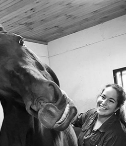 #horsenation ‘Grams of the Week