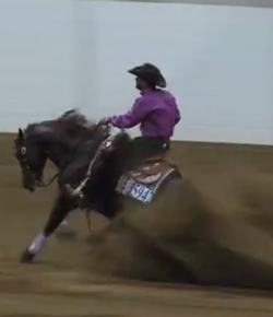 SpectraVET Performance: All American Vintage