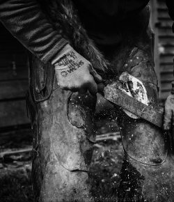 Kentucky Performance Products: Biotin Basics