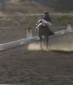 ‘Oh Crap’ Monday