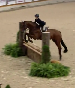 SpectraVet Perf. of the Week: Taylor St. Jacques
