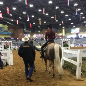 The Academic Equestrian: So Many ‘Lasts’ | HORSE NATION