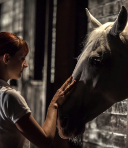 Kentucky Performance Products: The Feeling You Get…