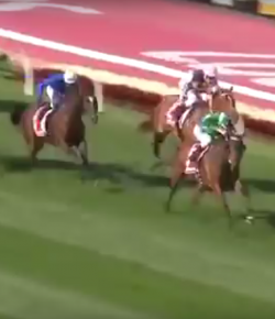 SpectraVET Performance: Winx, Cox Plate #3