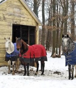 Kentucky Performance Products: The Low Down on Dry Lots