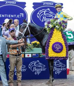 Standing Ovation by Ovation Riding: The Breeders’ Cup Pledge