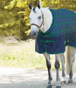 SmartPak Monday Morning Feed: Ultimate Blanketing Guide
