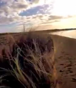 World Equestrian Brands Helmet Cam: Icelandics