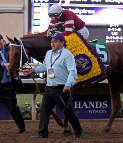 SpectraVET Performance of the Week: Gun Runner