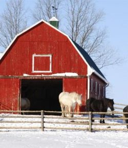 Kentucky Performance Products: Preparing Your Feed Room For Winter