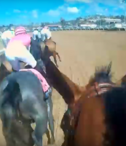 World Equestrian Brands HelmCam: Caledonia Road