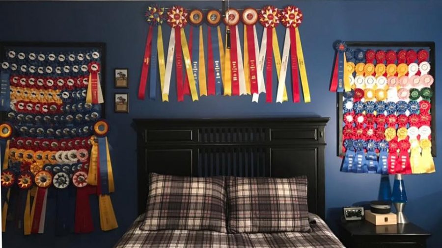 Photo Challenge 10 Unique Ways to Display Ribbons HORSE NATION