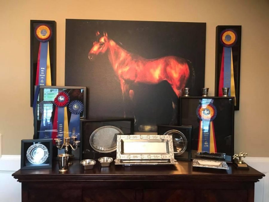 photo-challenge-10-unique-ways-to-display-ribbons-horse-nation