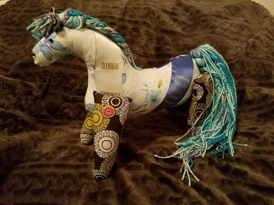 photo-challenge-10-unique-ways-to-display-ribbons-horse-nation