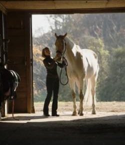 Kentucky Performance Products: Supplementing the Senior