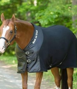 SmartPak Monday Morning Feed