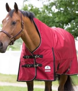 SmartPak Cyber Monday Morning Feed