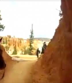 World Equestrian Brands HC: Bryce Canyon