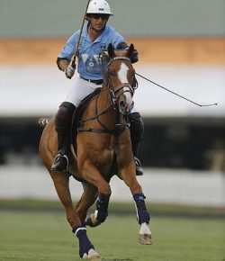 Standing Ovation by Ovation Riding