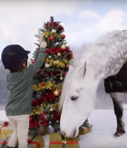 A Little Christmas Magic by Horseware