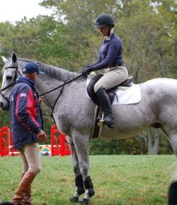 Cavalor Best Mini-Series of 2017