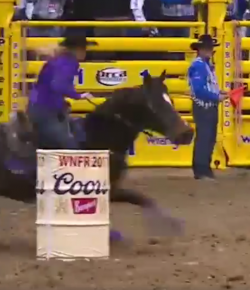 SpectraVET Perf. of the Week: Amberleigh Moore