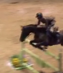 SpectraVET Performance of the Week