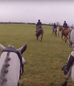 World Equestrian Brands Helmet Cam