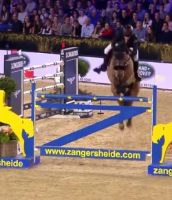 SpectraVET Performance of the Week