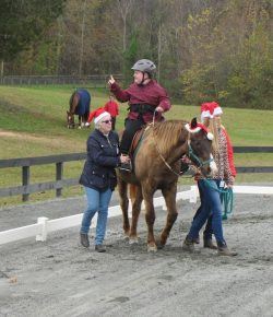Standing Ovation by Ovation Riding: A Year of Standing Ovations
