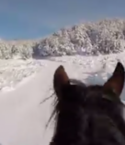 World Equestrian Brands Helmet Cam