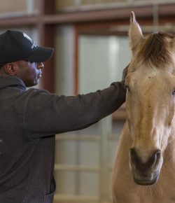 Standing Ovation by Ovation Riding: The National Ability Center