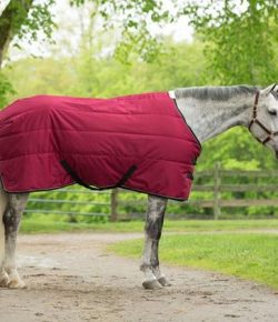 SmartPak Monday Morning Feed: Get Cozy!