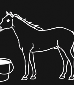 Lighthoof: Build-a-Mash Infographic