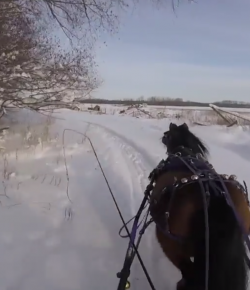 World Equestrian Brands Helmet Cam