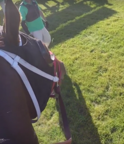 World Equestrian Brands Racing Helmet Cam