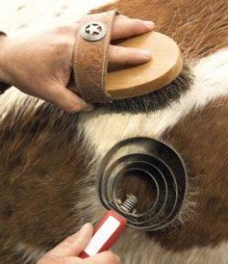 Kentucky Performance Products: Keeping Clean in Cold Weather