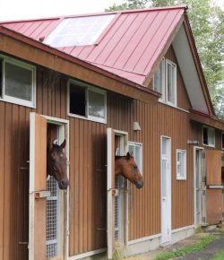 Lighthoof: Designing a Horse Friendly Farm, Part 2