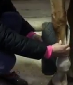 Draper Therapies Video: Wrapping a No Bow Wrap