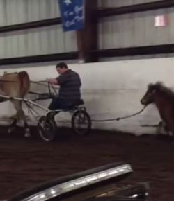 KER Friday Video: Mini Tag-along