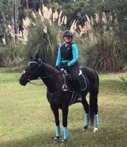 2018 Readers’ Choice Awards: Total Saddle Fit Photo Challenge Gallery of 2018